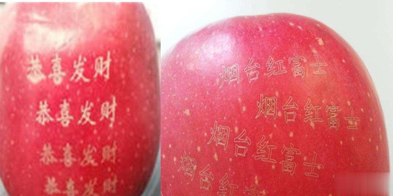 激光打標機在水果上是怎么打標的呢？